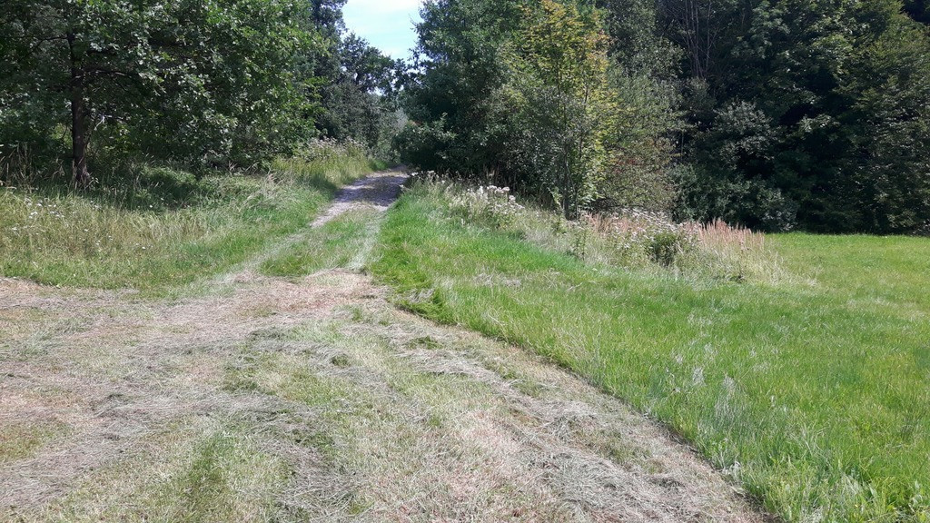 Działka Sprzedaż Gródek