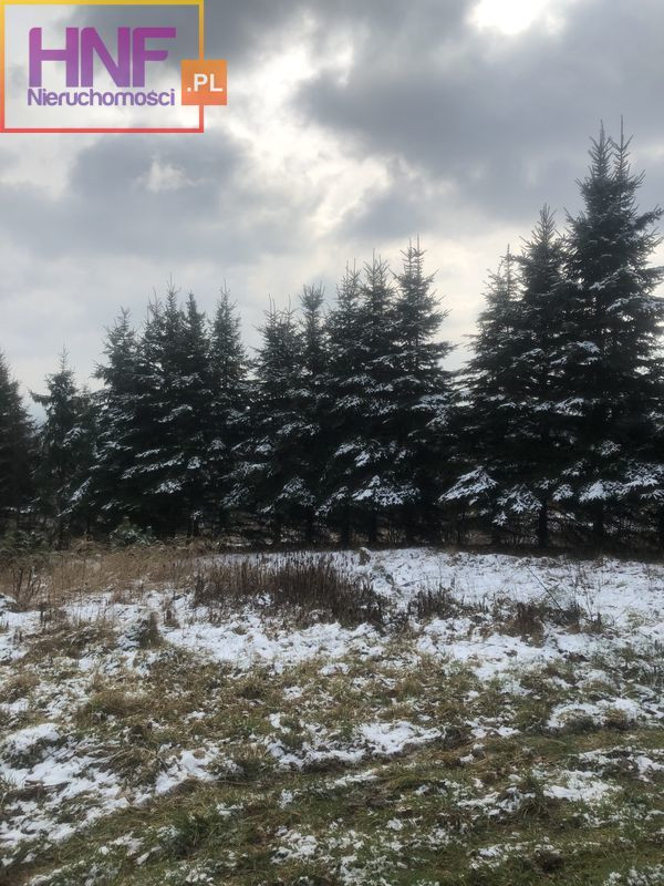 Działka Sprzedaż Chełmiec 2