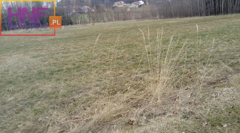 Działka Sprzedaż Biała Niżna