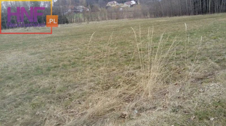 Działka Sprzedaż Biała Niżna 3