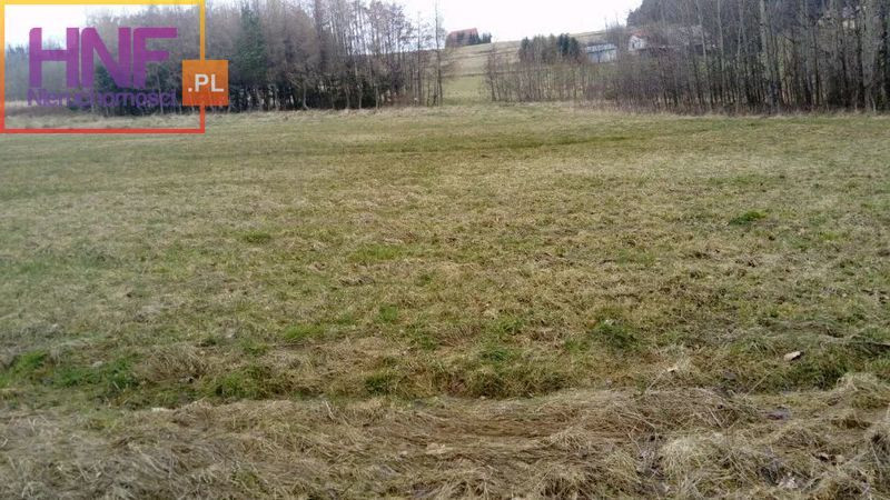 Działka Sprzedaż Biała Niżna