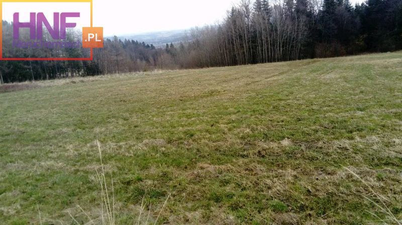 Działka Sprzedaż Biała Niżna
