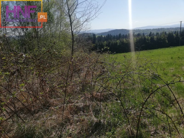 Działka Sprzedaż Mszalnica 4
