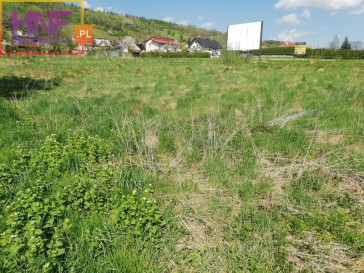 Działka Sprzedaż Mszalnica