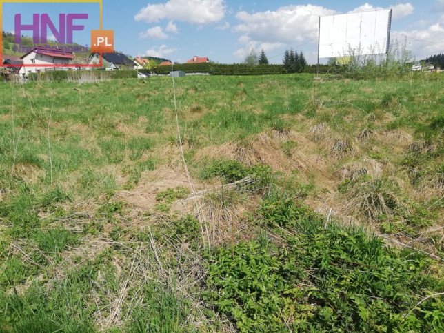 Działka Sprzedaż Mszalnica 1