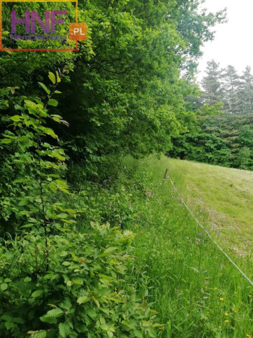Działka Sprzedaż Mszalnica 5