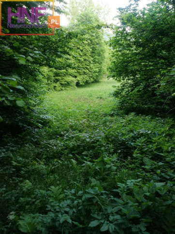 Działka Sprzedaż Homrzyska 2
