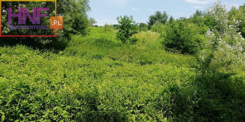 Działka Sprzedaż Gródek Nad Dunajcem
