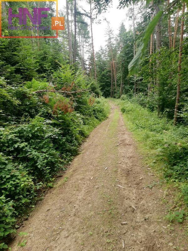 Działka Sprzedaż Klimkówka