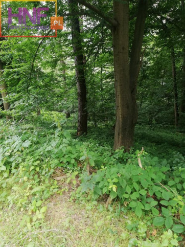 Działka Sprzedaż Klimkówka 5