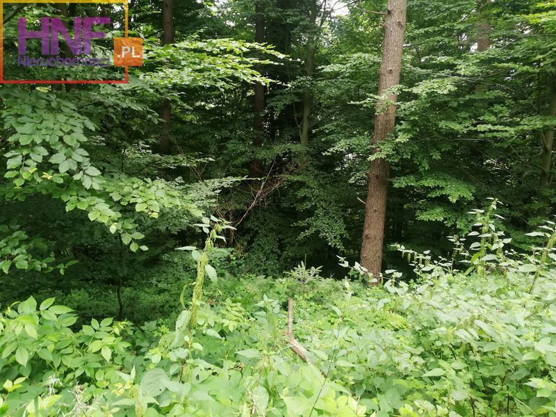 Działka Sprzedaż Klimkówka