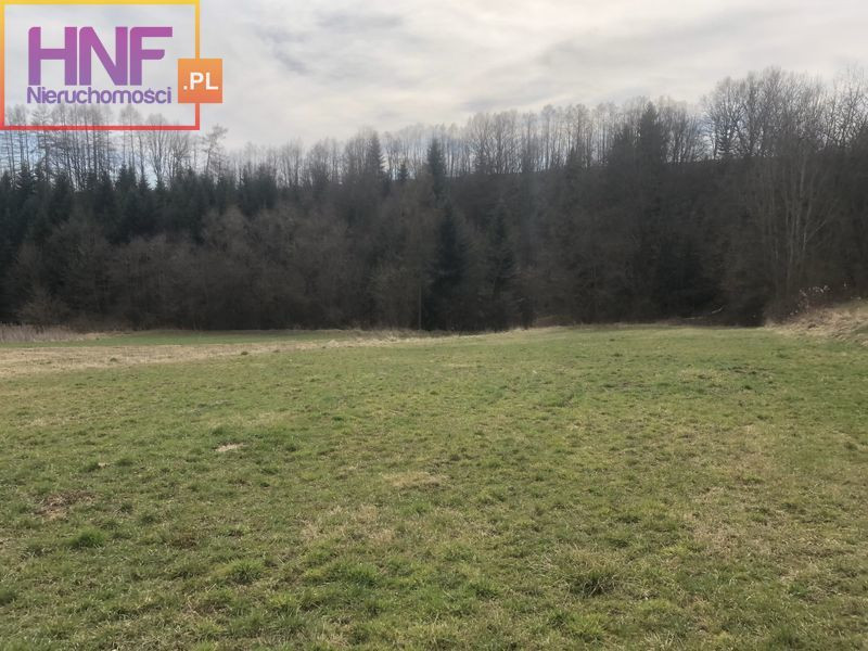 Działka Sprzedaż Niskowa