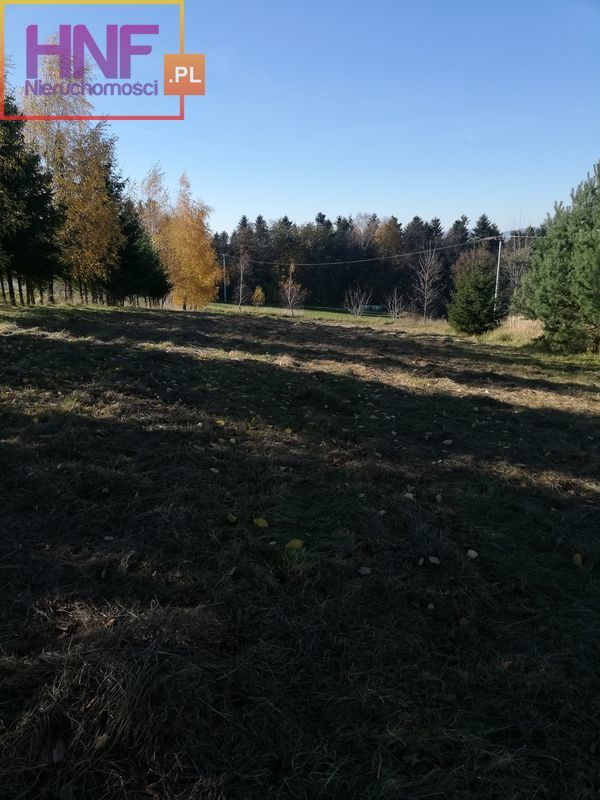 Działka Sprzedaż Łazy Biegonickie 4
