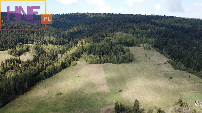 Działka Sprzedaż Tylicz