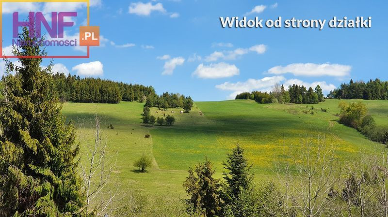 Działka Sprzedaż Tylicz