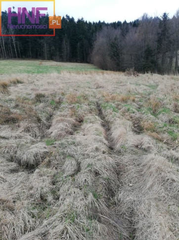 Działka Sprzedaż Mogilno 14