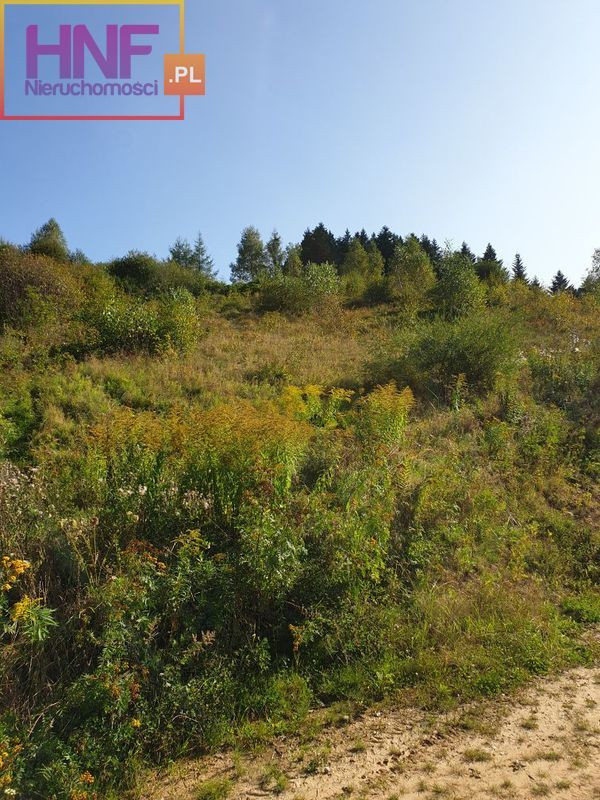Działka Sprzedaż Muszyna