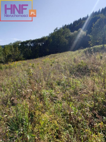 Działka Sprzedaż Muszyna 4