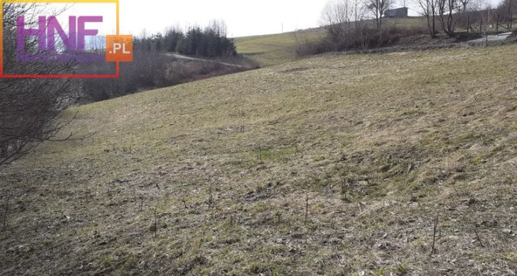 Działka Sprzedaż Grybów 4