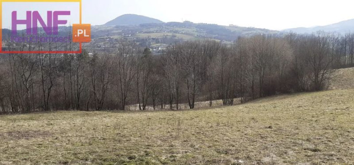 Działka Sprzedaż Grybów 5