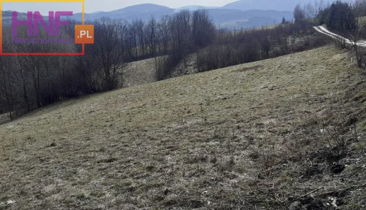 Działka Sprzedaż Grybów 3
