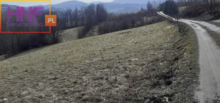 Działka Sprzedaż Grybów 6