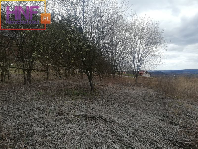 Działka Sprzedaż Rożnów 6