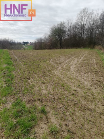 Działka Sprzedaż Podegrodzie 1