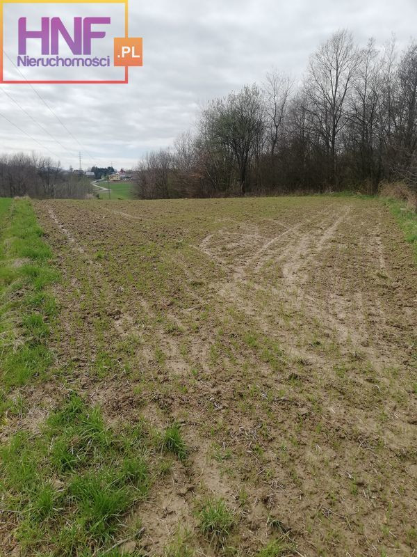 Działka Sprzedaż Podegrodzie