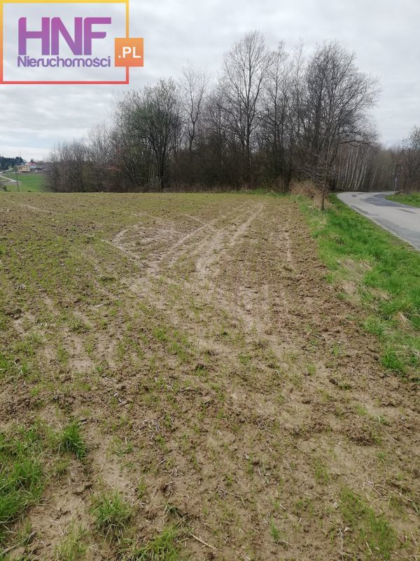 Działka Sprzedaż Podegrodzie
