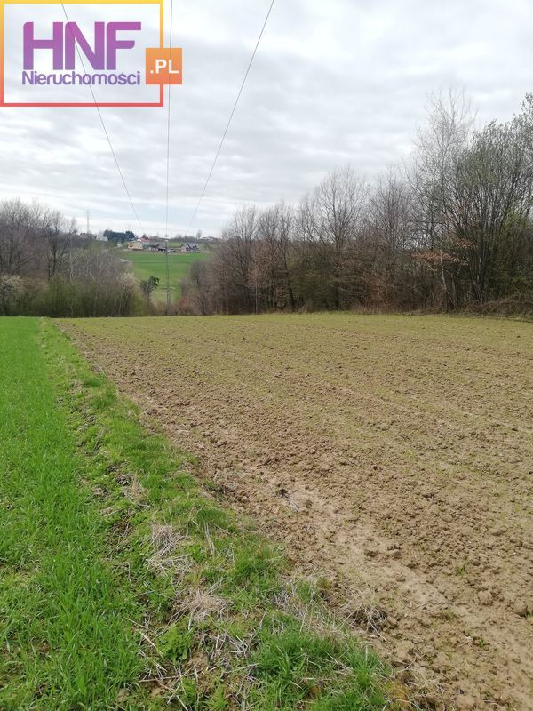 Działka Sprzedaż Podegrodzie