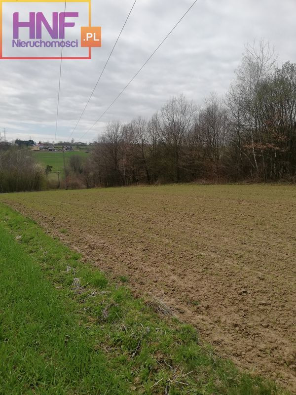 Działka Sprzedaż Podegrodzie