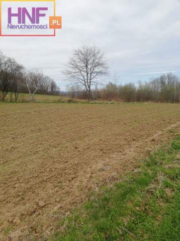 Działka Sprzedaż Podegrodzie 6