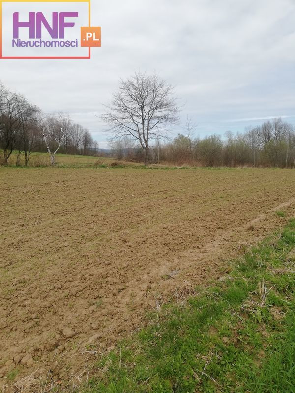 Działka Sprzedaż Podegrodzie