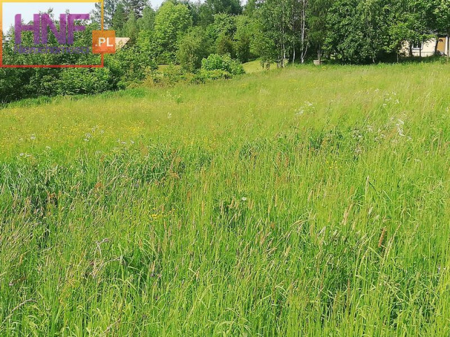 Działka Sprzedaż Boguszowa 8