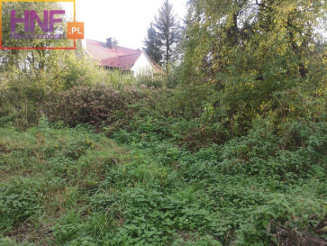 Działka Sprzedaż Nowy Sącz