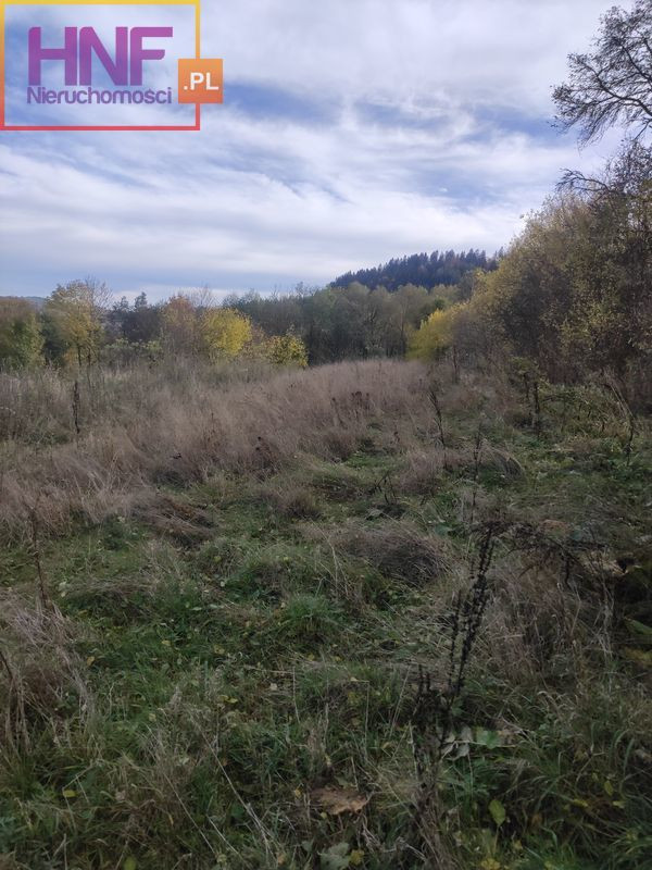 Działka Sprzedaż Kamienica