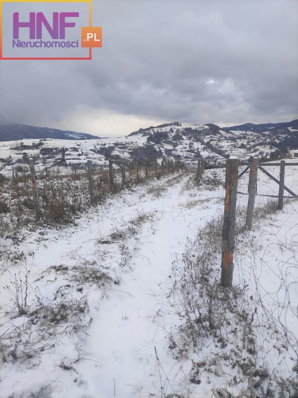 Działka Sprzedaż Łomnica-Zdrój 4