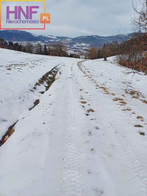Działka Sprzedaż Męcina