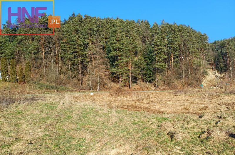 Działka Sprzedaż Roztoka-Brzeziny 8