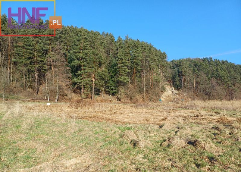 Działka Sprzedaż Roztoka-Brzeziny 10