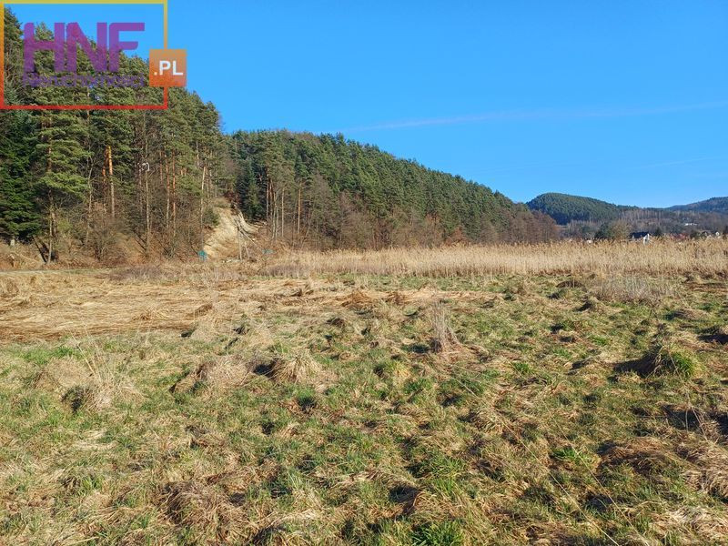 Działka Sprzedaż Roztoka-Brzeziny 11