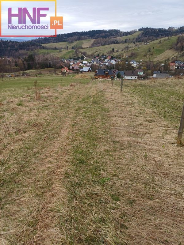 Działka Sprzedaż Szczawnik