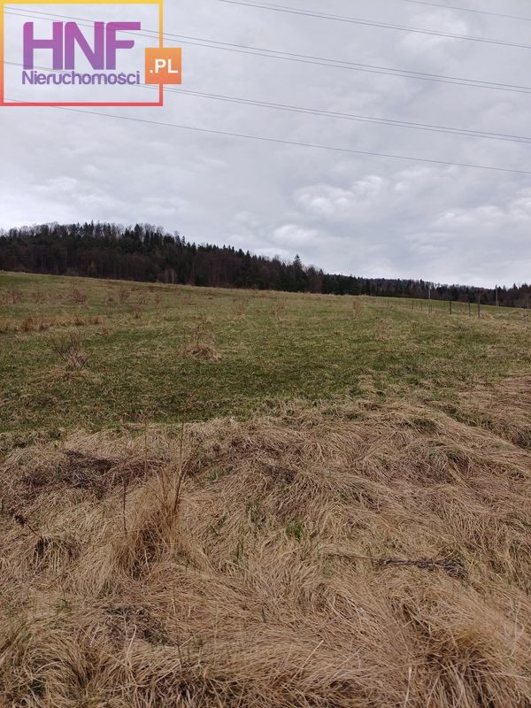 Działka Sprzedaż Szczawnik