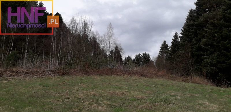 Działka Sprzedaż Paszyn