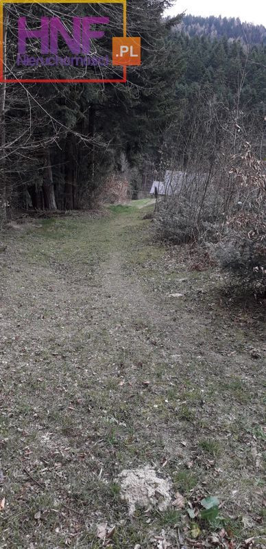 Działka Sprzedaż Paszyn