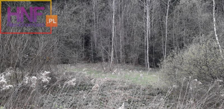 Działka Sprzedaż Paszyn 13