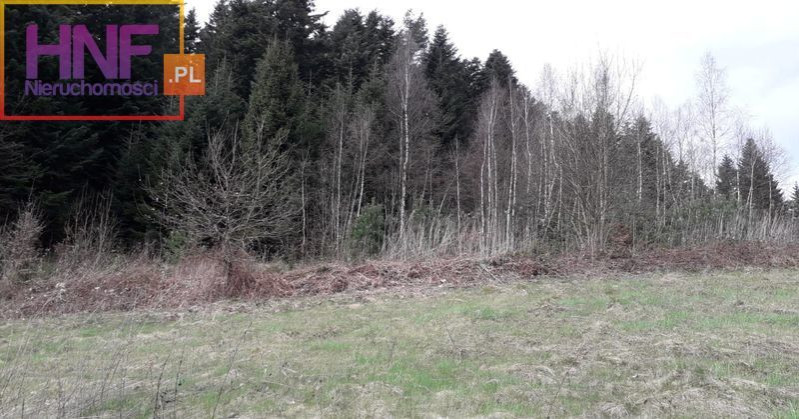 Działka Sprzedaż Paszyn