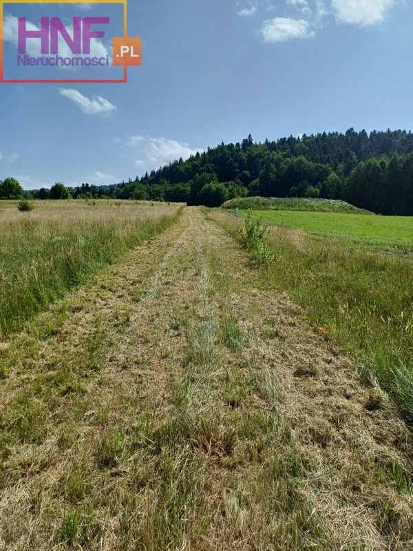 Działka Sprzedaż Ptaszkowa 15